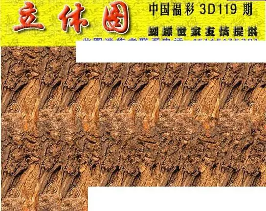 25119��: 3D�������Һ�����ͼ