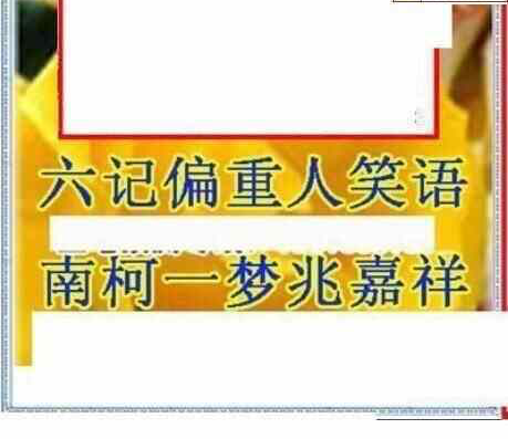 25031期: 三毛3D精品图谜