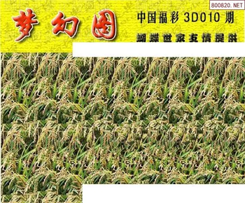 26010期: 3D蝴蝶世家蝴蝶彩图