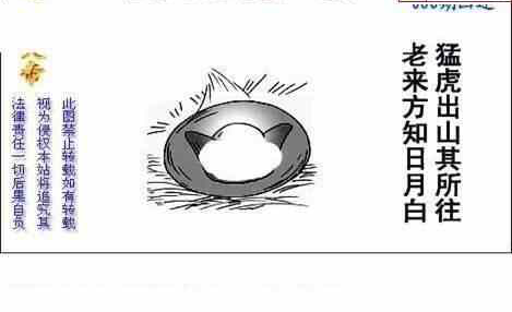 24086期: 白老3D杀码图版