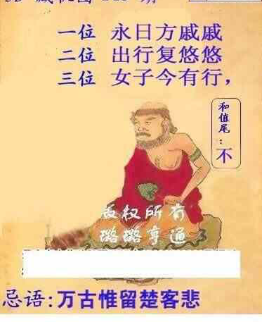 24146期: 白老3D杀码图版