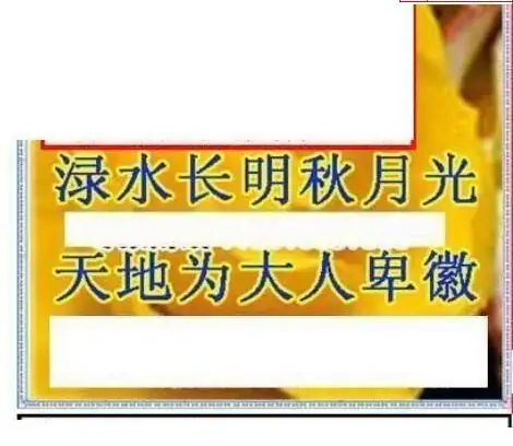 25070期: 三毛3D精品图谜