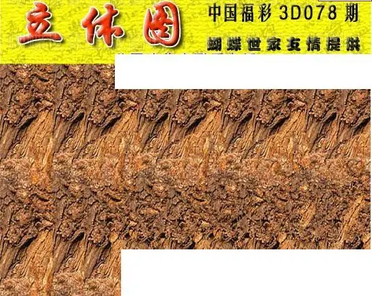 25078期: 3D蝴蝶世家蝴蝶彩图