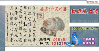 25340期: 3D蝴蝶世家蝴蝶彩图