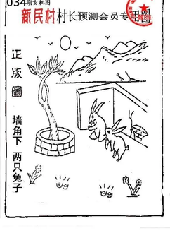 26034期: 老村长福彩3D天天图谜