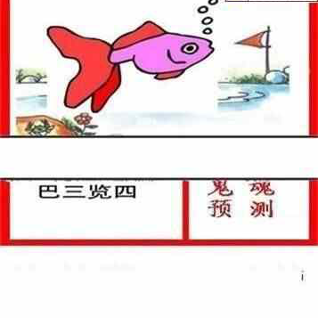 24246期: 白老3D杀码图版