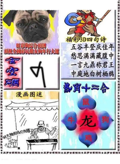 25335期: 大兵福彩3D黄金报图版