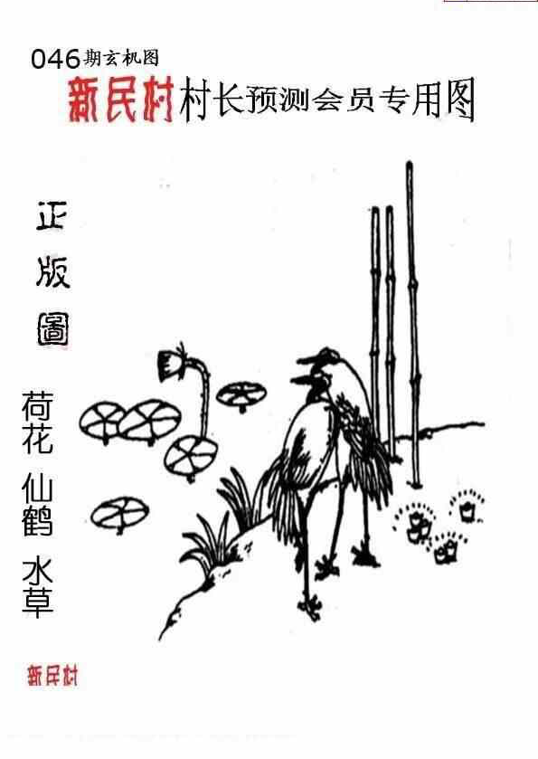 25046期: 老村长福彩3D天天图谜