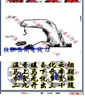 26053期: 三毛3D精品图谜