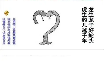 25316期: 白老3D杀码图版