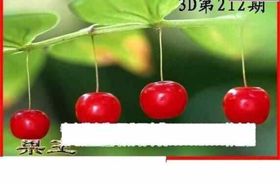 24212��: ����3Dɱ��ͼ��