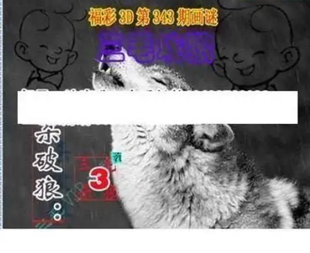25343期: 三毛3D精品图谜