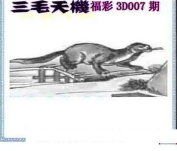 26007期: 三毛3D精品图谜