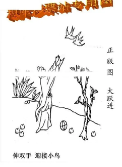 25351期: 老村长福彩3D天天图谜