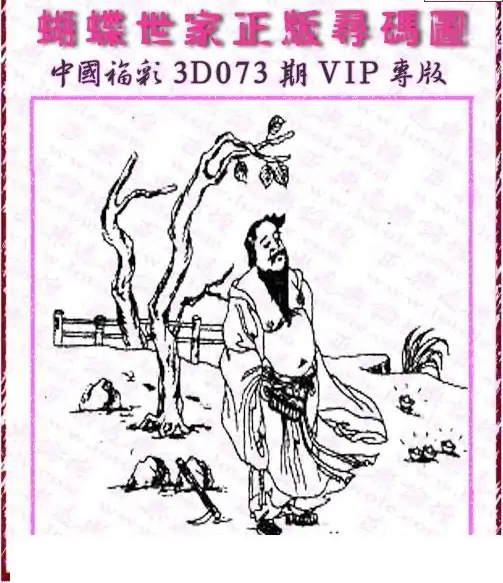 25073期: 3D蝴蝶世家蝴蝶彩图