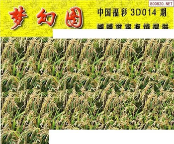 26014期: 3D蝴蝶世家蝴蝶彩图