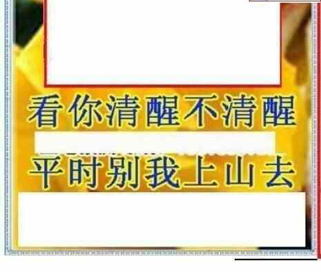 25037期: 三毛3D精品图谜