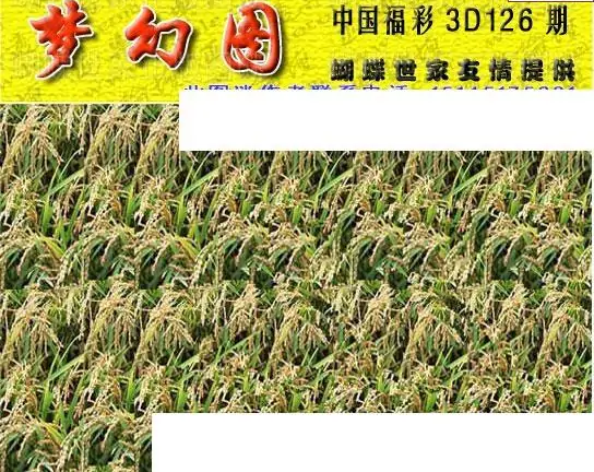 25126��: 3D�������Һ�����ͼ