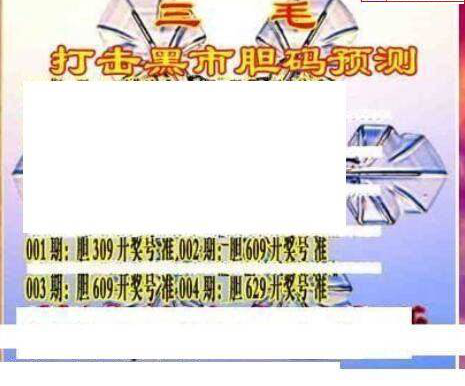 25004期: 三毛3D精品图谜