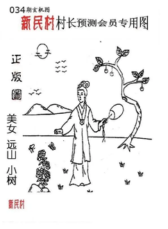 26034期: 老村长福彩3D天天图谜