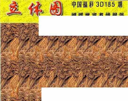 24185期: 3D蝴蝶世家蝴蝶彩图