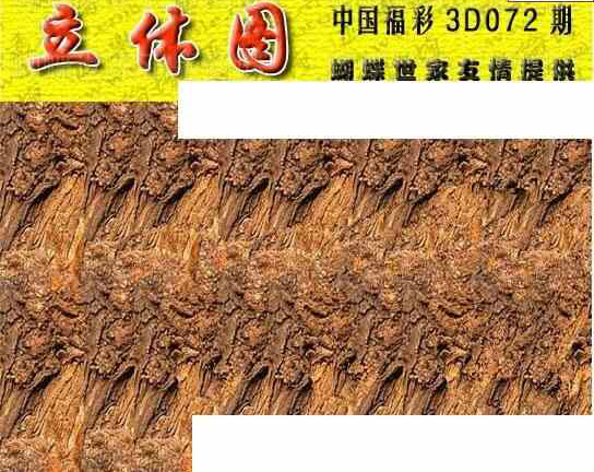 24072期: 3D蝴蝶世家蝴蝶彩图