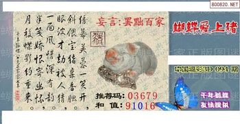 26094期: 3D蝴蝶世家蝴蝶彩图