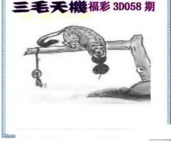 26058期: 三毛3D精品图谜