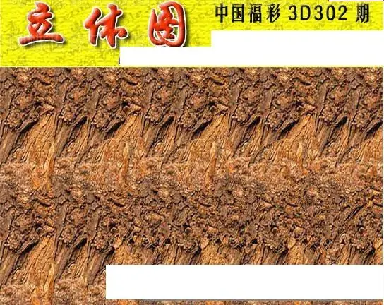 25302期: 3D蝴蝶世家蝴蝶彩图