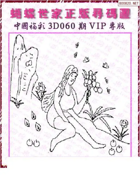 26060期: 3D蝴蝶世家蝴蝶彩图