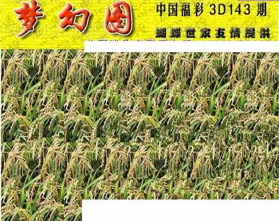 24143期: 3D蝴蝶世家蝴蝶彩图