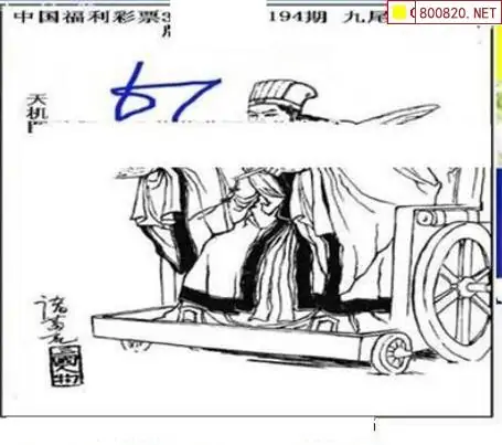 25194期: 三毛3D精品图谜