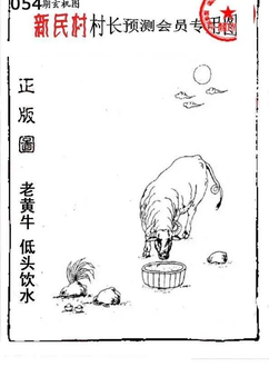 26054期: 老村长福彩3D天天图谜