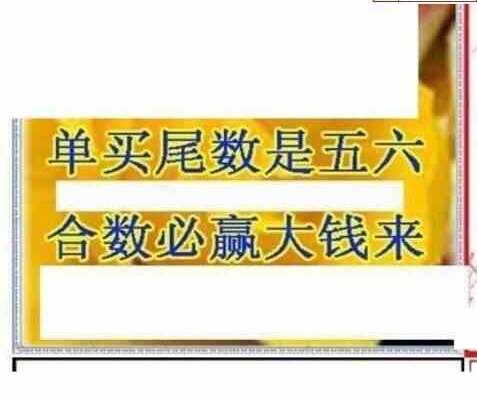 24088期: 三毛3D精品图谜