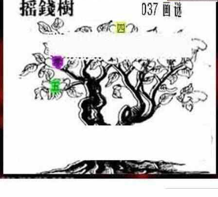 25037期: 三毛3D精品图谜