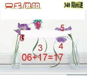 25340期: 三毛3D精品图谜