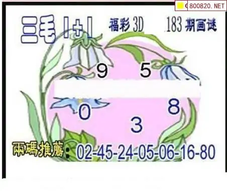 25183期: 三毛3D精品图谜