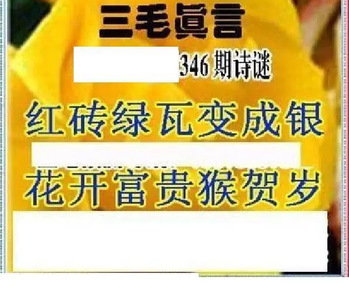 25346期: 三毛3D精品图谜