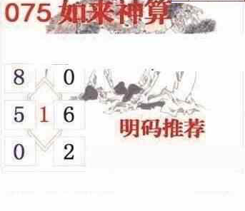 24075期: 白老3D杀码图版