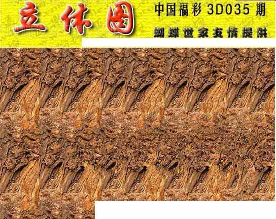 25035��: 3D�������Һ�����ͼ