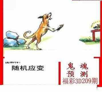 24209期: 白老3D杀码图版