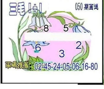 26050期: 三毛3D精品图谜