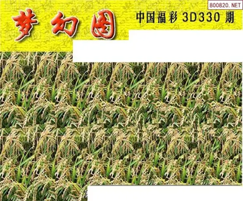 25330期: 3D蝴蝶世家蝴蝶彩图