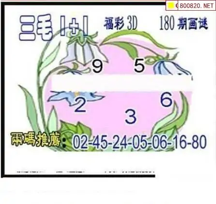 25180期: 三毛3D精品图谜