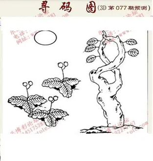 九宝图26077期福彩3D寻码图