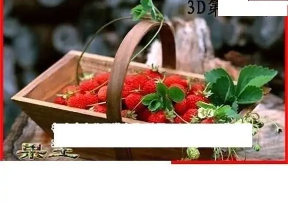 25129��: ����3Dɱ��ͼ��