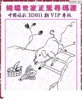 26011期: 3D蝴蝶世家蝴蝶彩图