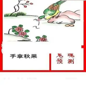 26003期: 白老3D杀码图版