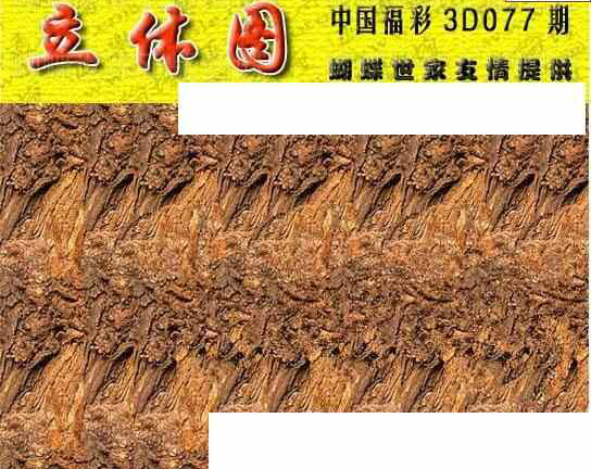 24077期: 3D蝴蝶世家蝴蝶彩图