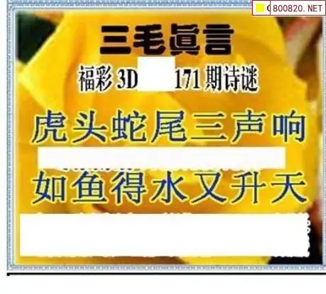 25171期: 三毛3D精品图谜